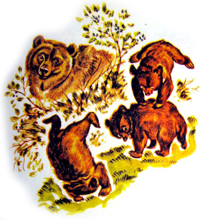 قصه کودکانه ماجرای سه بچه خرس-داستانهای مصوّر رنگی برای کودکان -ارشیو قصه و داستان ایپابفا